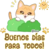Gatito Quesito 22