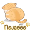 Gatito Quesito 23