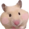 Emojis de Hámsters 27