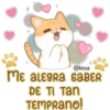 Gatito Quesito 24