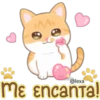 Gatito Quesito 25