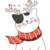 Cat ️ Bunny 29