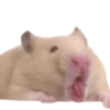 Emojis de Hámsters 30