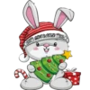 Navidad 27