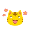 Yellow Kitten 27