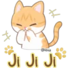Gatito Quesito 27
