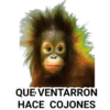 QUE VENTARRON
HACE COJONES