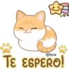Gatito Quesito 28