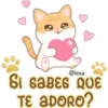 Gatito Quesito 30