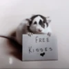 Mouse 6