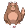 Random funny cats 5