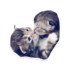 Sexy Animals 5