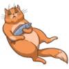 Random funny cats 6