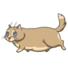 Random funny cats 7