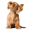 Sexy Animals 7