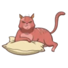 Random funny cats 9