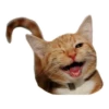 Sexy Animals 8
