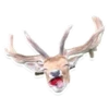 Sexy Animals 9
