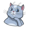 Random funny cats 12