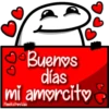 florksito amol2 10