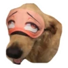 Ultimate Dog Pack - Expansion Pack 11