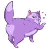 Random funny cats 16