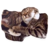 Sexy Animals 14