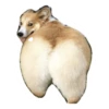 Ultimate Dog Pack - Expansion Pack 12