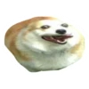 Ultimate Dog Pack - Expansion Pack 13