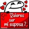 florksito amol2 14
