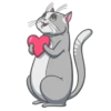 Random funny cats 19