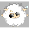 Sheep_PaK 12
