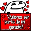 florksito amol2 16