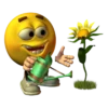Yellow Boi 12