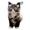 Sexy Animals 17