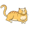 Random funny cats 20