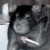 Mouse 20