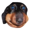 Ultimate Dog Pack - Expansion Pack 20