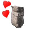 Sexy Animals 19