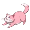 Random funny cats 21