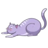 Random funny cats 23