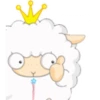 Sheep_PaK 13