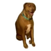Ultimate Dog Pack - Expansion Pack 26