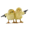 Sexy Animals 23