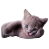 Sexy Animals 24
