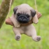 little dogs 23