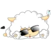 Sheep_PaK 16