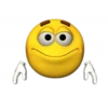 Yellow Boi 22