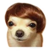 Ultimate Dog Pack - Expansion Pack 29