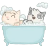 Couple Day Love ᥫ᭡ Clásica 15